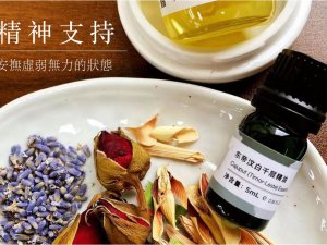 教程：精神支持，安撫虛弱無力的狀態