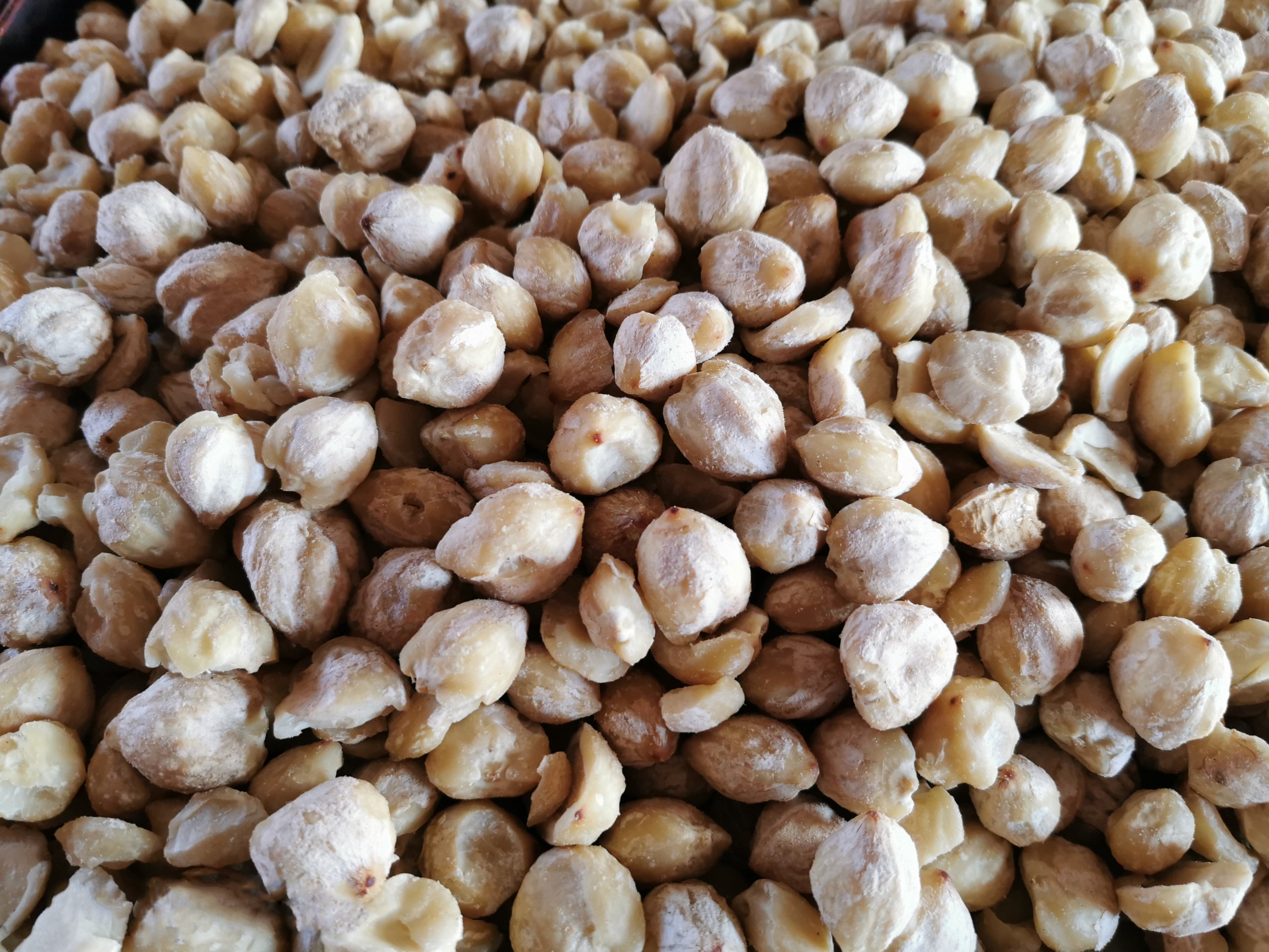 庫奎果油拯救敏感肌的換季危機